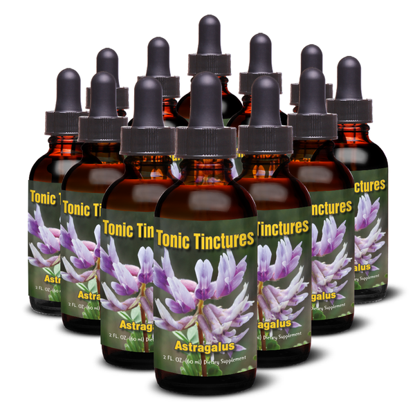 Astragalus Root Multistep Hydroalcohol Tincture