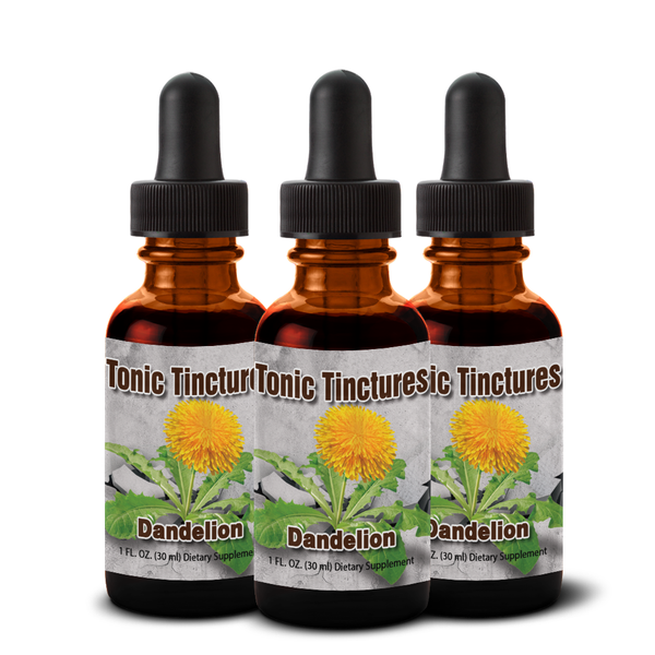 Dandelion Root Extract - Health Benefits - Uses - Dosage - High Quality ...