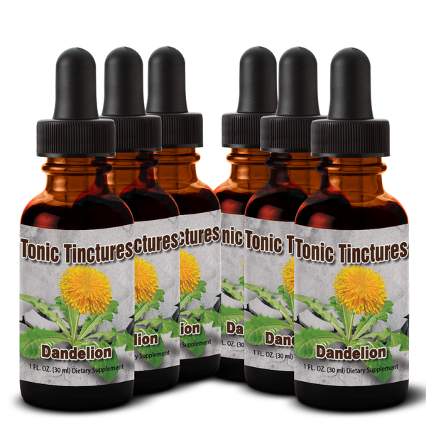 Dandelion Root Extract - Health Benefits - Uses - Dosage - High Quality ...