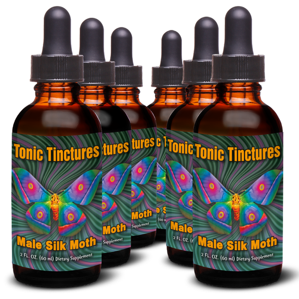 Male Silk Moth Extract Health Benefits Uses Dosage High Quality