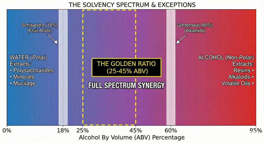 Hydro-Ethanolic Solvency Gradient Diagram showing the 25-45% ABV Golden Ratio and exceptions like Schisandra and Goldenseal.