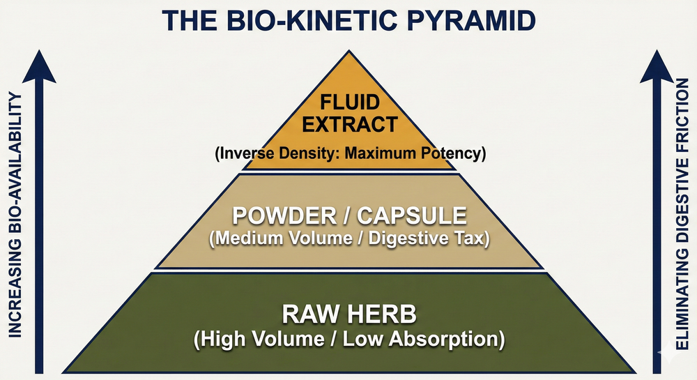 Bio-Kinetic Pyramid Diagram illustrating the Inverse Density and higher bioavailability of liquid tinctures compared to raw herb and powders