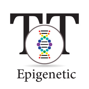 Epigenetic
