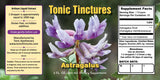 Astragalus