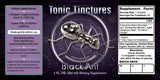 Black Polyrhachis Ant