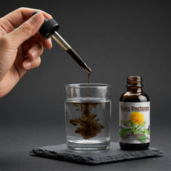 Dandelion Root