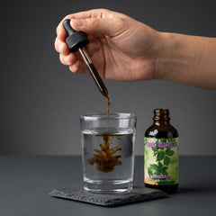 Jiaogulan (Gynostemma) Liquid Extract