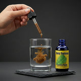 Lemon Balm Liquid Extract
