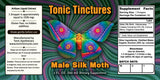 Male Silk Moth