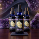 Lion's Mane Liquid Extract