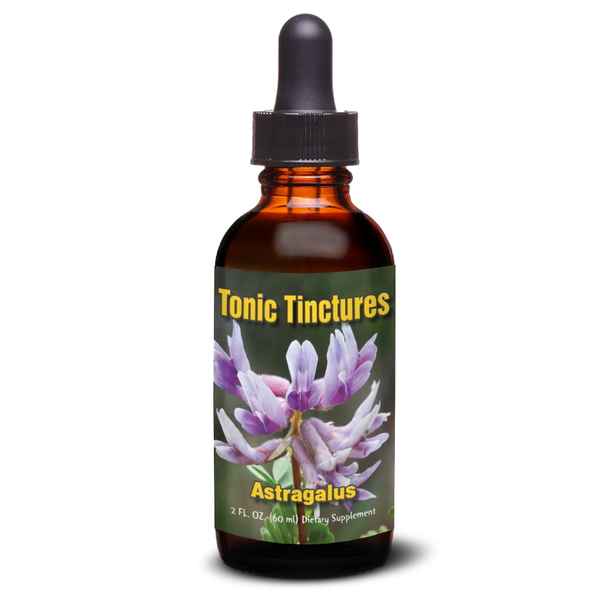 Astragalus Root Multistep Hydroalcohol Tincture