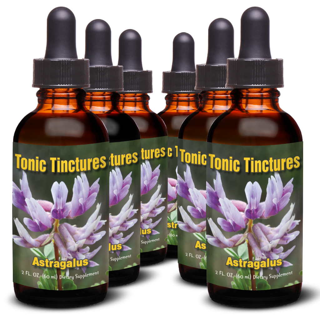 Tonic Tinctures Astragalus Liquid Extract 6 Pack